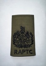 RAPTC Rank slides Code 2016