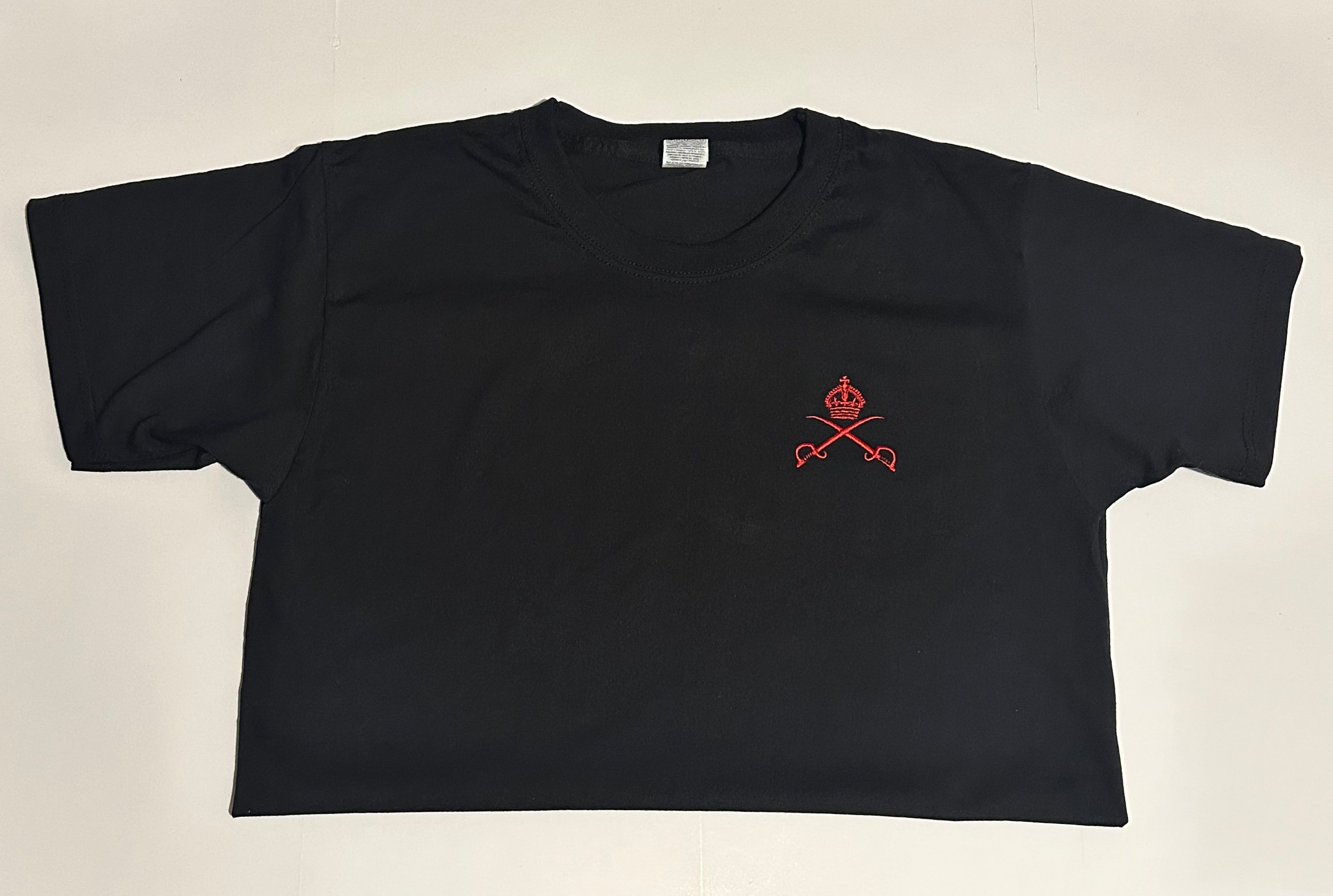 Basic Physical Training Cotton T-Shirt (Various colours) 1709