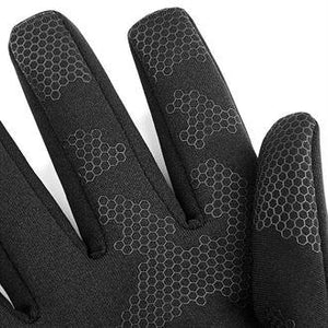 Physical Training/ Sports Gloves