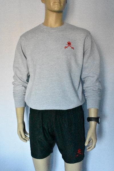 1x Physical Training PTI Jumper/ Sweatshirt (Various Colours) 1704