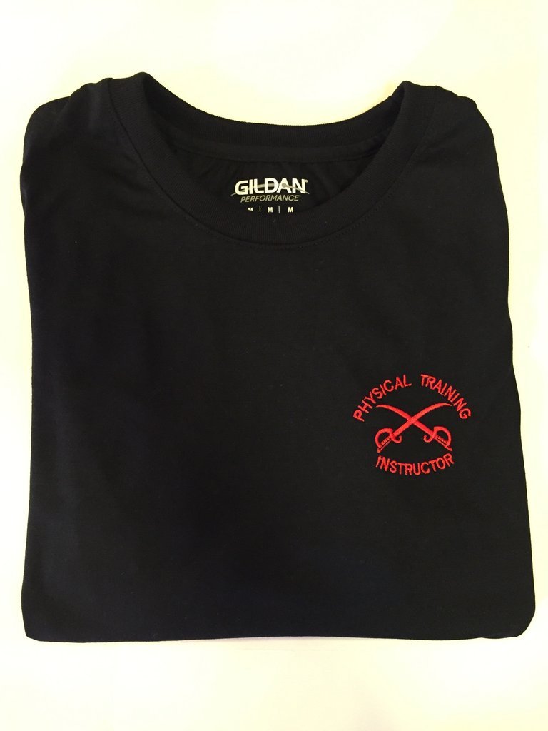 ae performance shirt