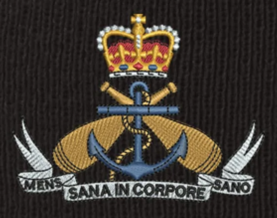 Navy (PTI) Badges