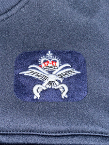 RAF Physical Training Instructor (PTI) Badges